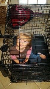 Emma being silly playing in the dog's crate.